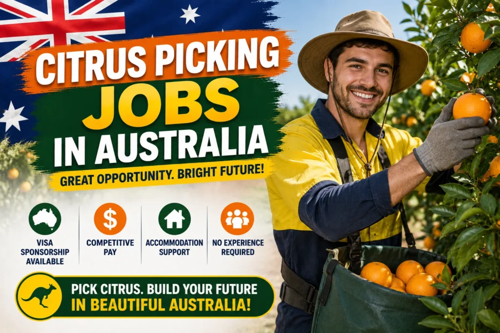 Citrus Picking Jobs in Australia with Visa Sponsorship 2026
